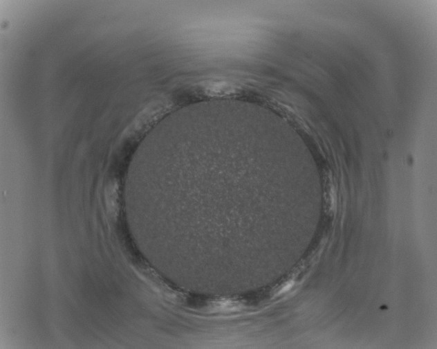 X0000072500319200607211256