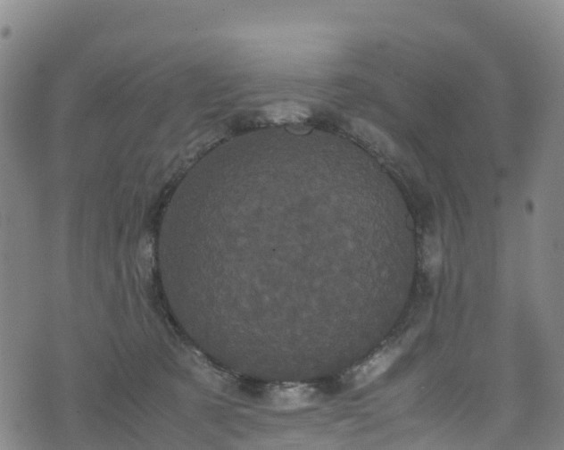 X0000072500321200607211256