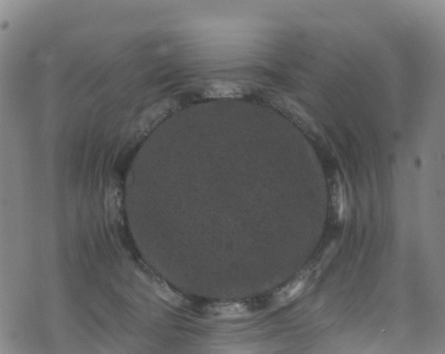 X0000072500322200607211256