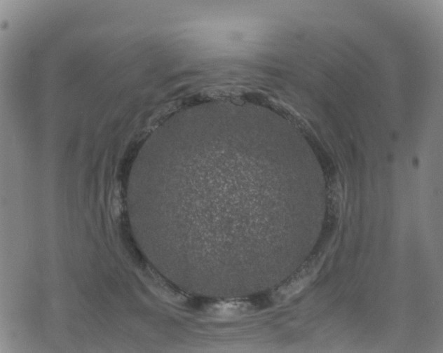 X0000072500323200607211256