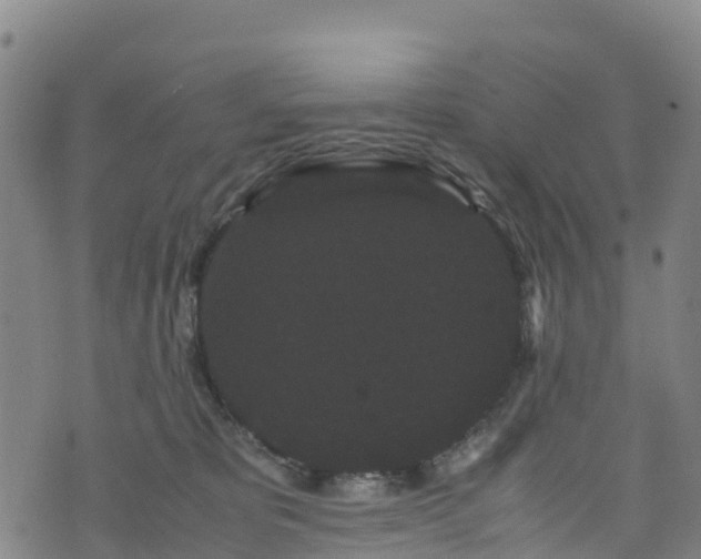 X0000072500325200607211256