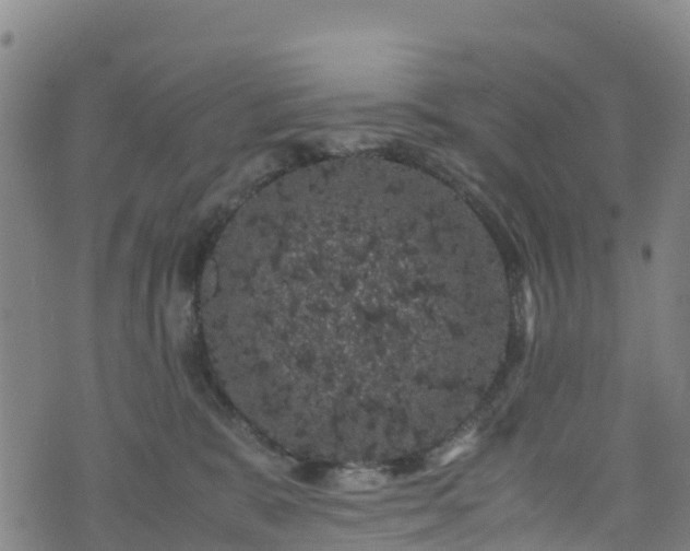 X0000072500327200607211256