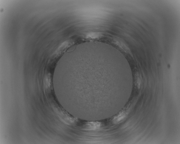 X0000072500328200607211256