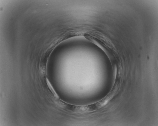 X0000072500329200607211256