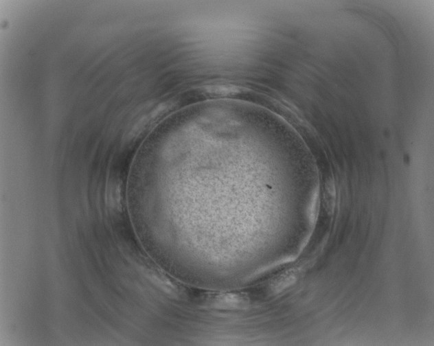 X0000072500330200607211256