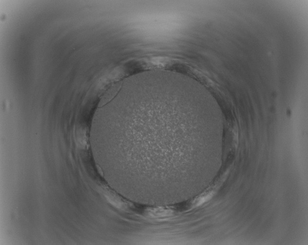 X0000072500331200607211256