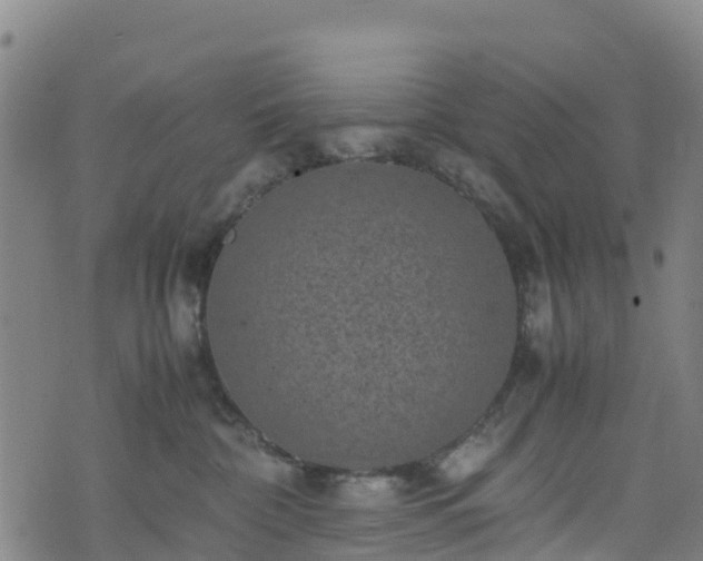 X0000072500332200607211256