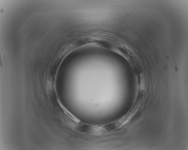 X0000072500333200607211256