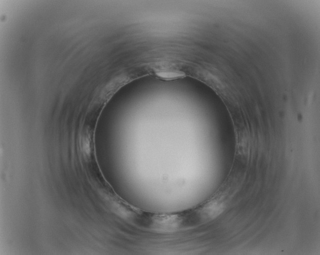 X0000072500334200607211256