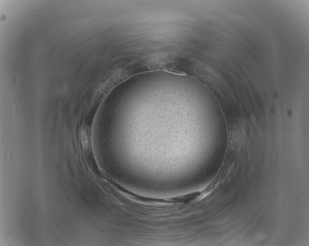 X0000072500335200607211256