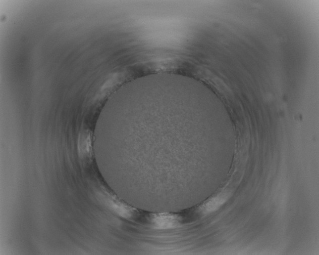 X0000072500336200607211256