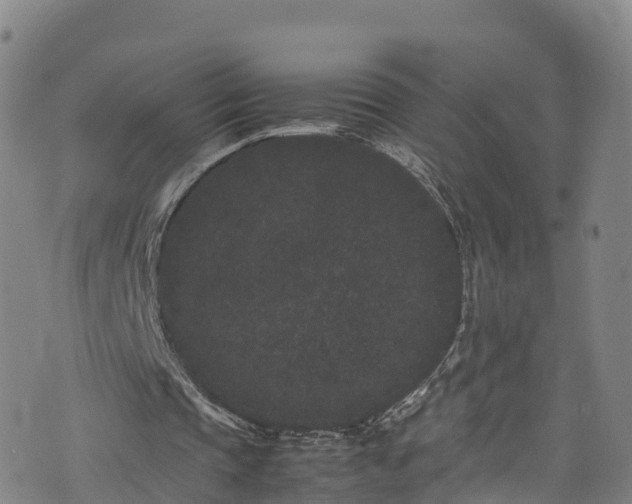 X0000072500337200607211255