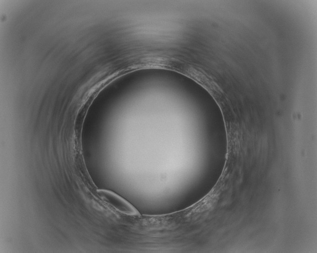 X0000072500338200607211255