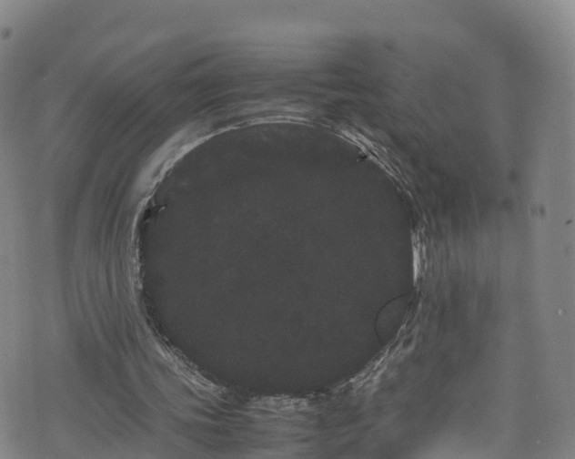 X0000072500339200607211255