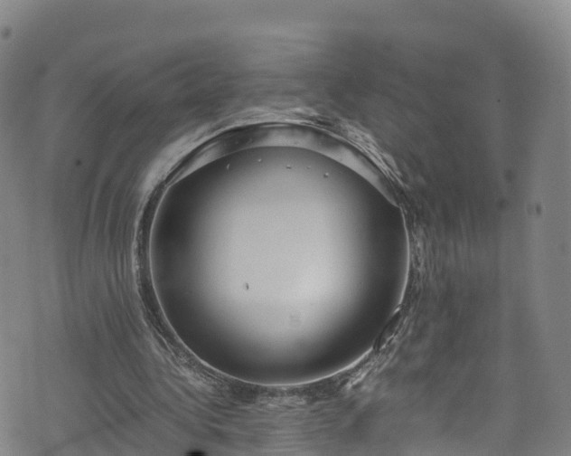 X0000072500340200607211255