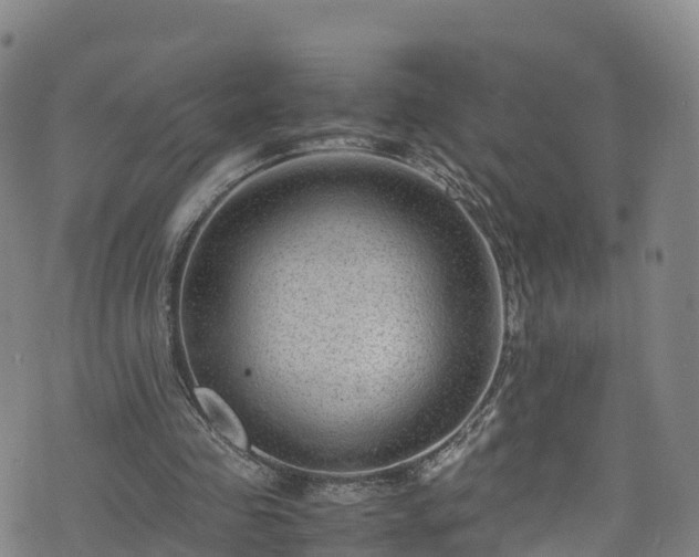 X0000072500341200607211255