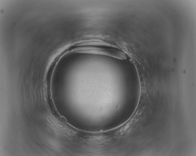 X0000072500342200607211255