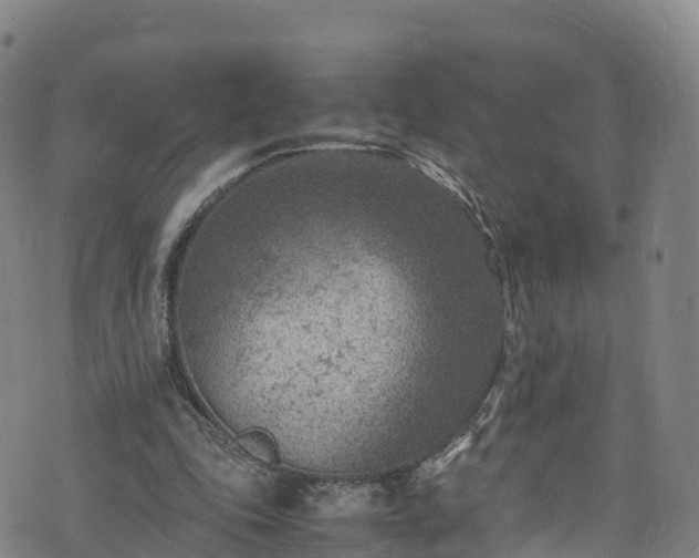 X0000072500343200607211255