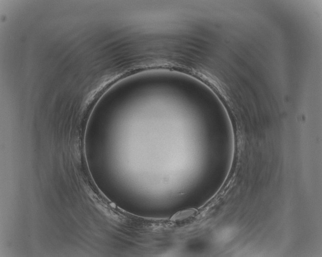 X0000072500345200607211255