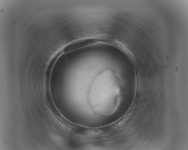 X0000072500346200607211255