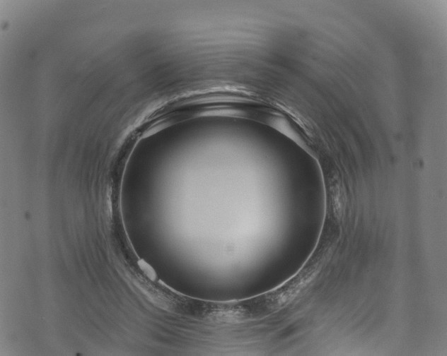 X0000072500350200607211255