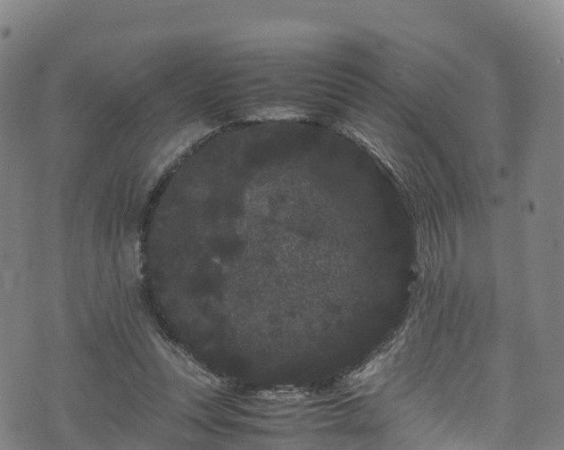 X0000072500351200607211255