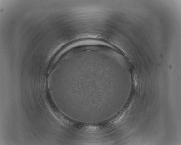 X0000072500352200607211255