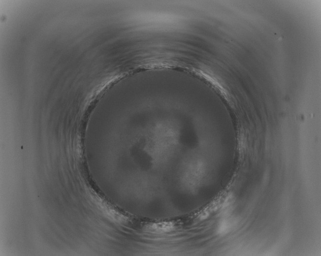 X0000072500353200607211255