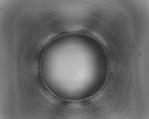 X0000072500354200607211255