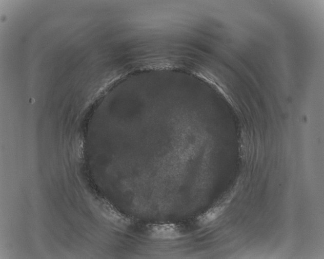 X0000072500355200607211255