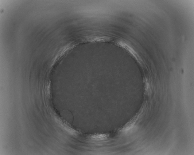 X0000072500357200607211255