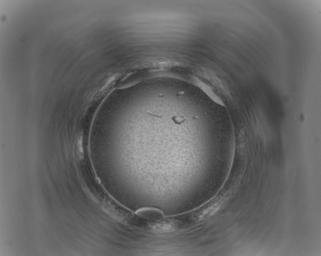 X0000072500358200607211255