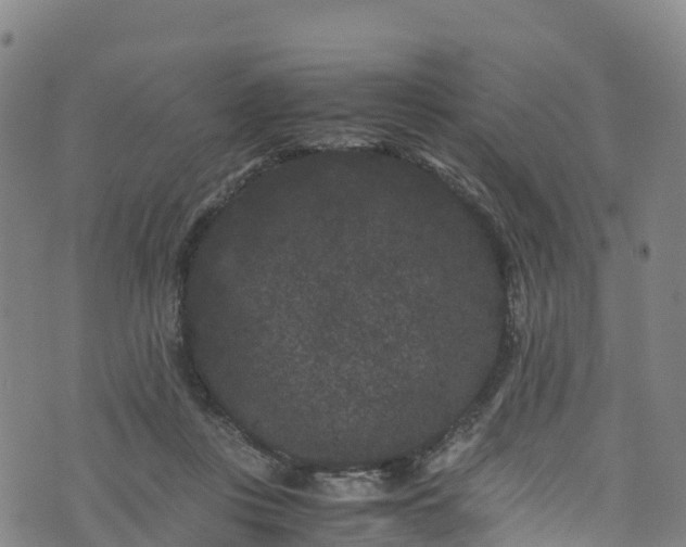 X0000072500359200607211255