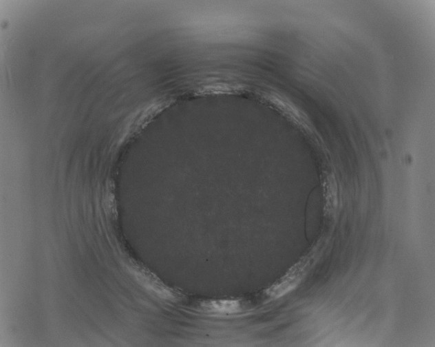 X0000072500361200607211255