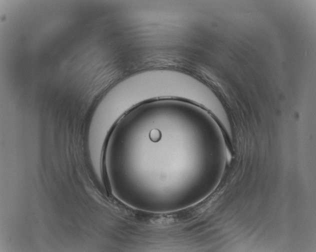 X0000072500362200607211255