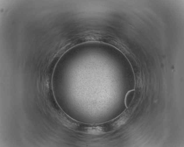 X0000072500363200607211255