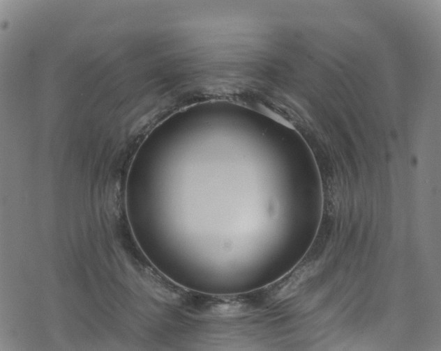 X0000072500364200607211255