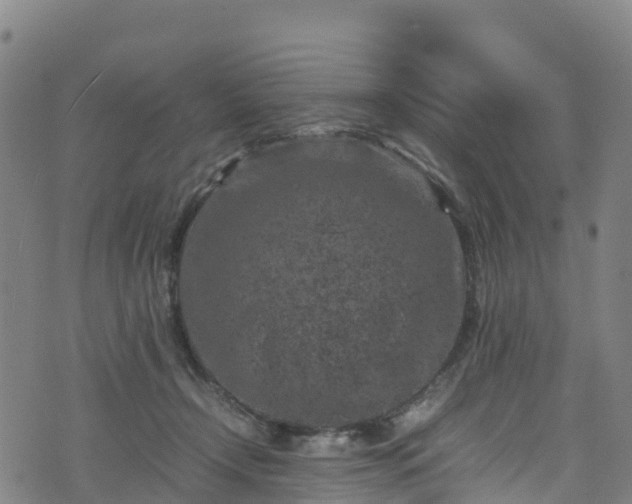 X0000072500366200607211255