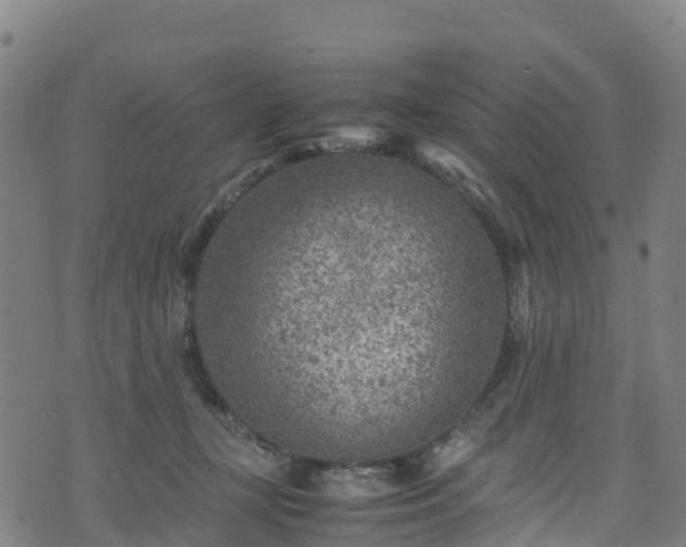 X0000072500367200607211255