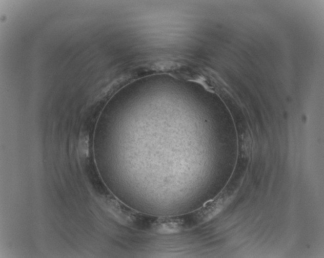 X0000072500368200607211255