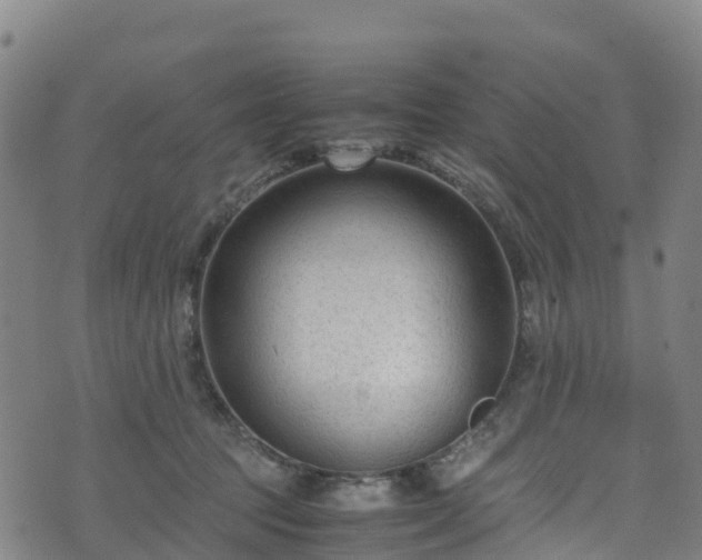 X0000072500369200607211255