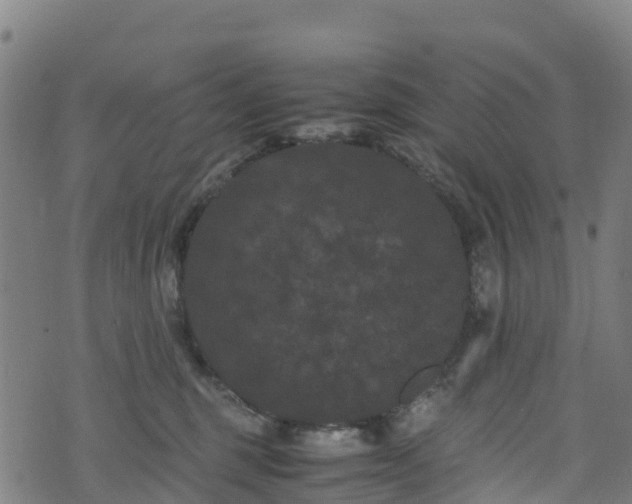 X0000072500375200607211255