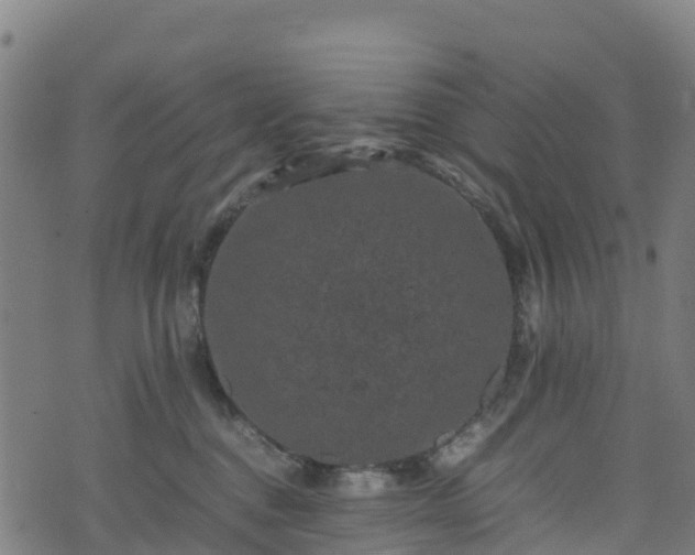 X0000072500376200607211255