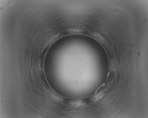 X0000072500377200607211255