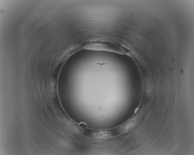 X0000072500378200607211255