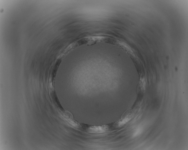 X0000072500381200607211256