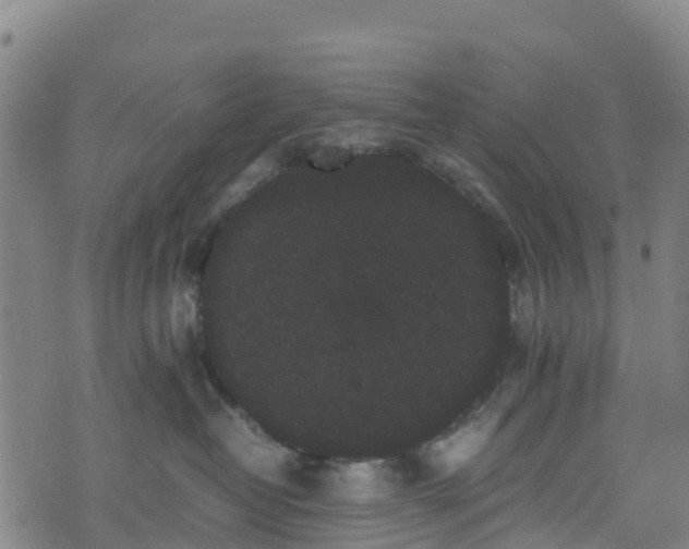 X0000072500382200607211256