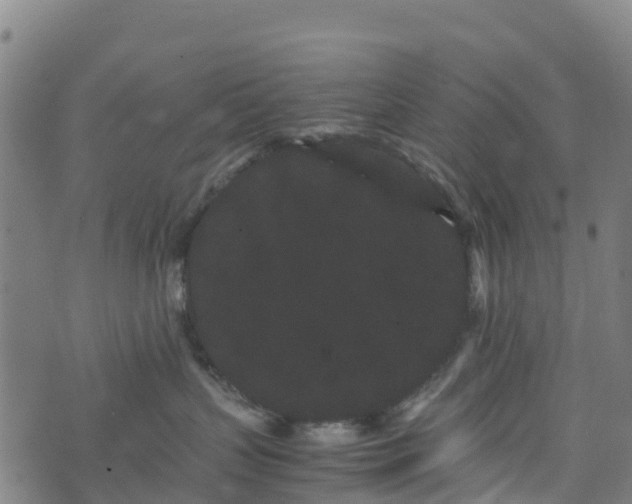 X0000072500383200607211256