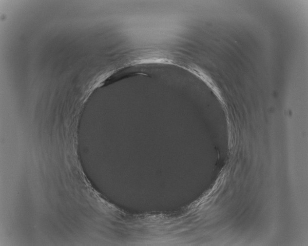 X0000072500385200607211255