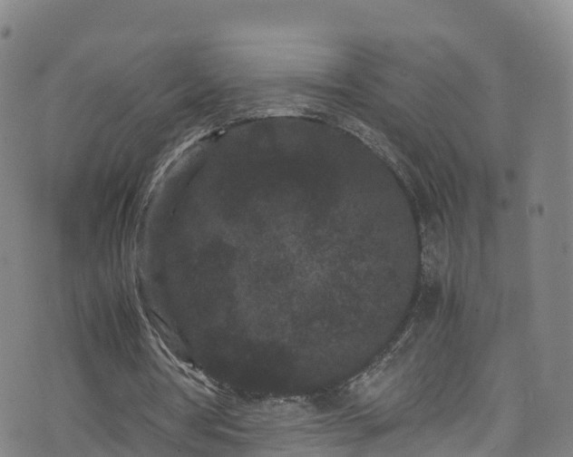 X0000072500386200607211255